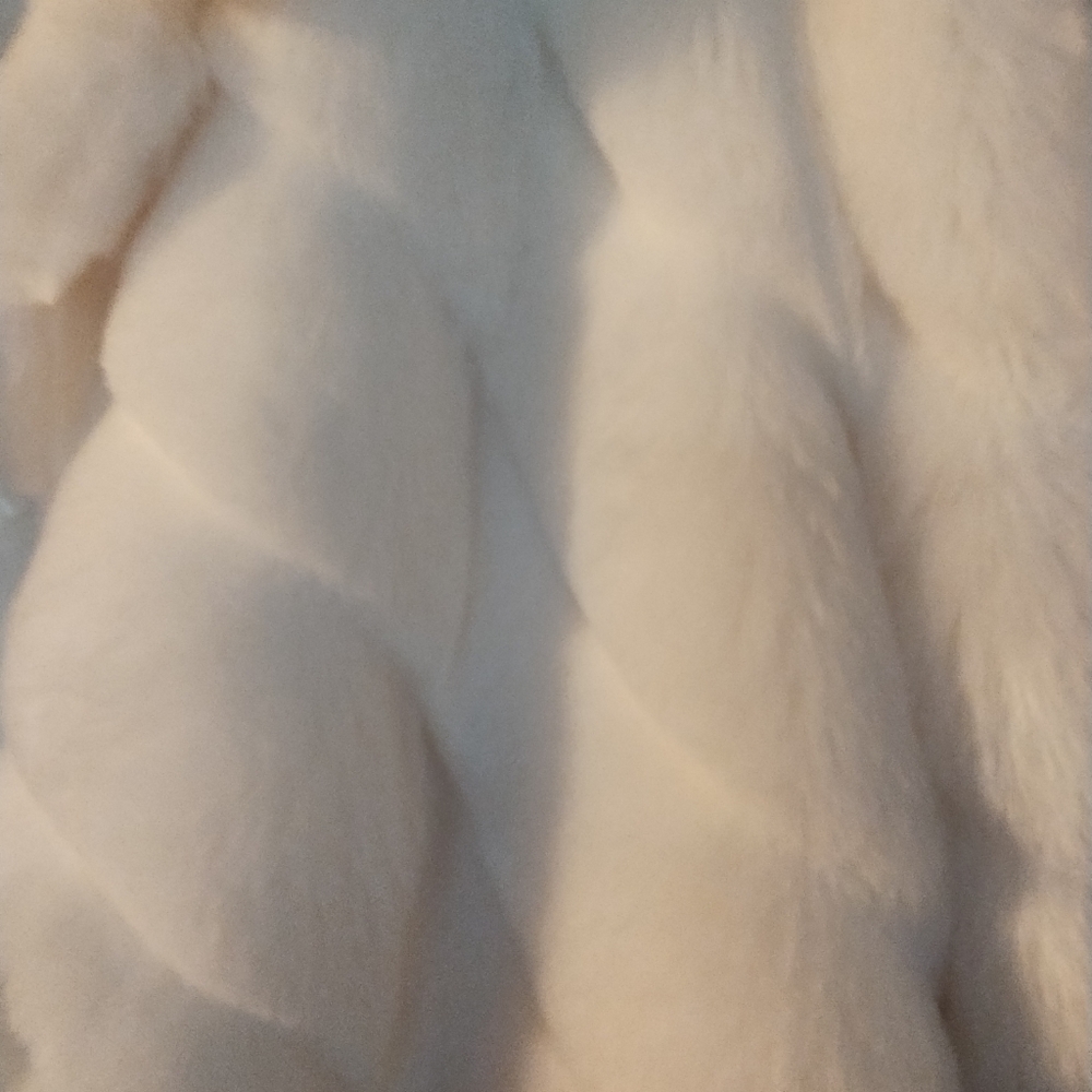Pamela McCoy classic length faux fur coat - Picture 9 of 12